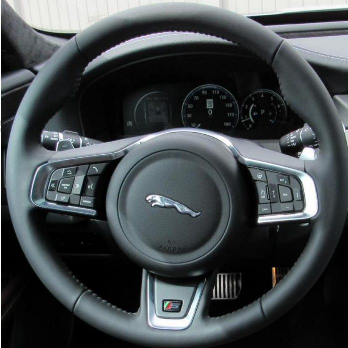 JAGUAR
